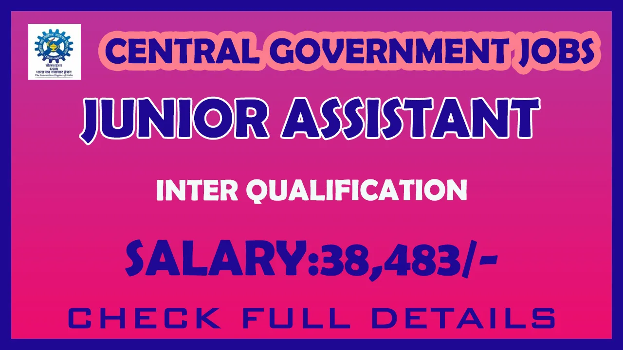 JUNIOR ASSISTANT